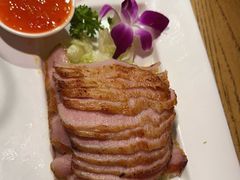 -新白鹿餐厅(百联中环店)