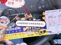 -枫花园汽车电影院(朝阳公园店)