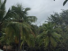 -三亚珠江南田温泉度假区