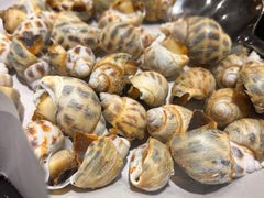 -顺德了能馆(虎门店)