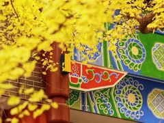 -四川大学(华西校区)