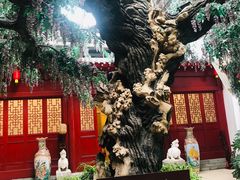 -绿岛生态园