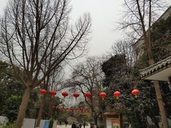 -莲湖公园