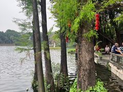 -荔湾湖公园