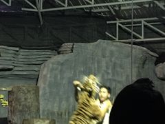 -清迈夜间动物园