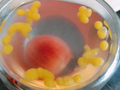 鲜果冰-蟹榭·本帮江浙菜·蟹宴(五角场合生汇商场店)