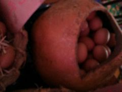 android_upload_pic-高老庄农家菜