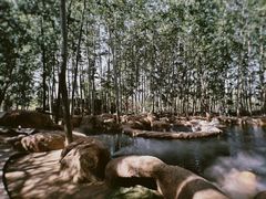 -北京野生动物园