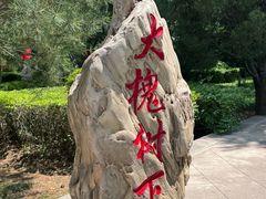 -大槐树寻根祭祖园