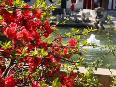 -碑林公园