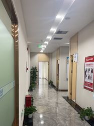 -碧莲盛·不剃发植发