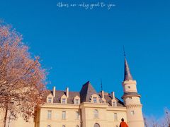 -北京张裕爱斐堡酒庄