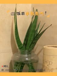 -韩美绣·骨相纹眉·洗眉美瞳线