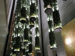 -顶层酒吧ROOF(上海艾迪逊酒店)