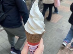 -富豪雪糕车流动点(尖沙咀店)