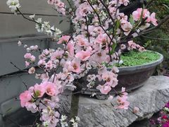 -成都杜甫草堂博物馆