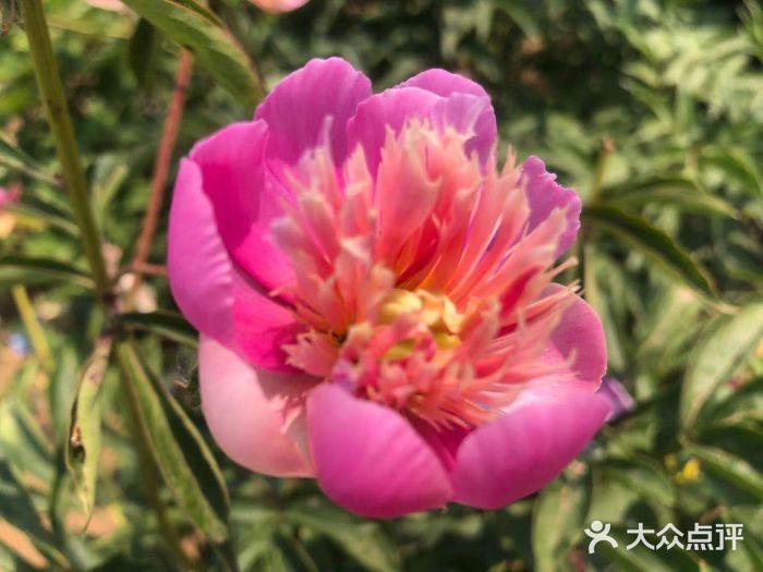 石经山风景区图片