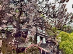 -梓木山庄