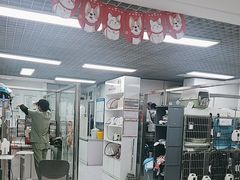 -达爱动物医院·犬猫分区·CT·复杂眼科(远洋山水分院)