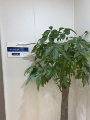 -郑荃丽格医疗美容