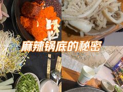 -星鸿社重庆老火锅