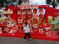 -黄海国家森林公园