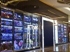 -UME影城(安贞DTS:X店)