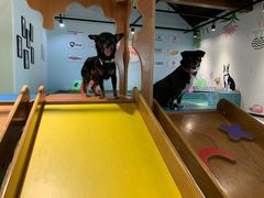 -太阳岛度假酒店