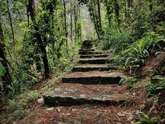 -铁山坪森林公园