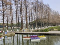 -圩墩遗址公园