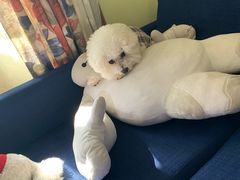 -证大大拇指广场(芳甸路店)