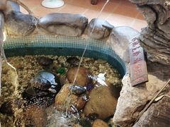 -御膳粥·牛乳粥底火锅·地道顺德菜(容桂店)