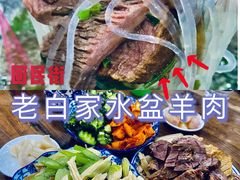 -老白家水盆羊肉
