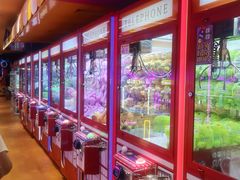 -爱玩嘉年华(江北一店)