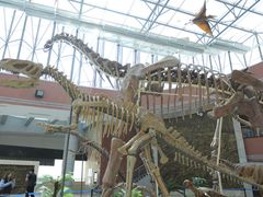 -国家自然博物馆