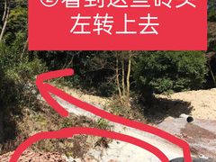 -黄埔油麻山森林公园