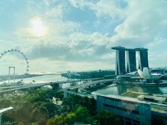 -新加坡文华东方酒店