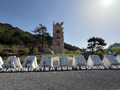 -王莽岭风景区