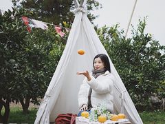 -柑橘农场