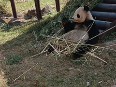 -杭州野生动物世界