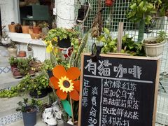 -有猫主题·治愈系猫咖(曾厝垵店)