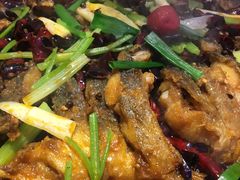 -老板恋上鱼(恒隆广场店)