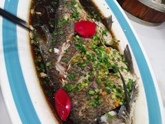 -新名仕新白玉兰餐厅