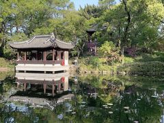 -颐缘居·南翔小笼馆