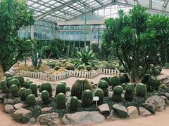 -南山植物园