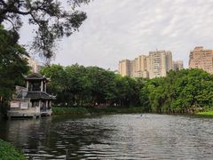 -荔湾湖公园