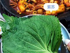 -红辣椒八爪鱼特色韩国料理专门店(远景路旗舰店)