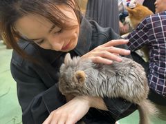 -藦茜花园宠物主题亲子互动体验馆(国顺东路店)