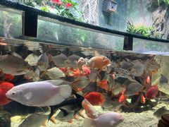 -太平洋海底世界