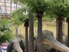 -国家自然博物馆